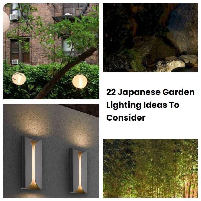 Creative Vegetable Gardener:How to choose the best grow lights for seed starting - Creative ... Creative Vegetable Gardener:How to choose the best grow lights for seed starting - Creative ...